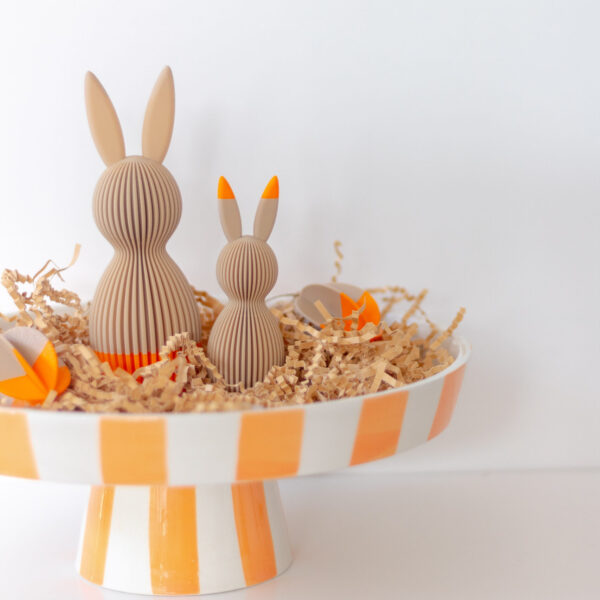 Alternative view of HASE 'WILMA'